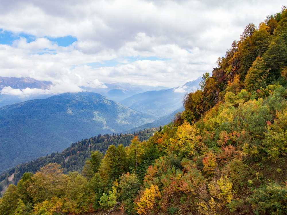 Photograph by Анна Бокарёва