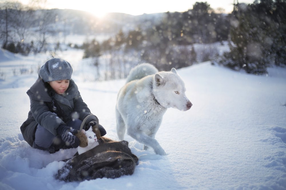 Уходящий год
