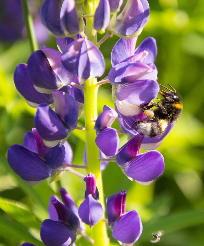 Photograph by Юлия Яшина