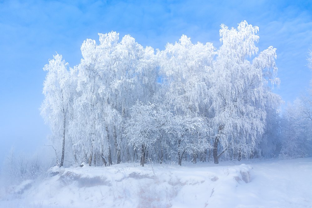 Мороз и солнце