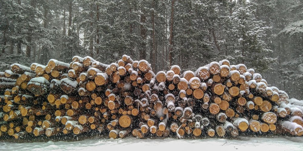 Photograph by Дмитрий Михайлов