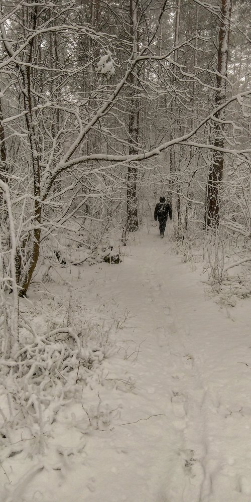 Photograph by Дмитрий Михайлов