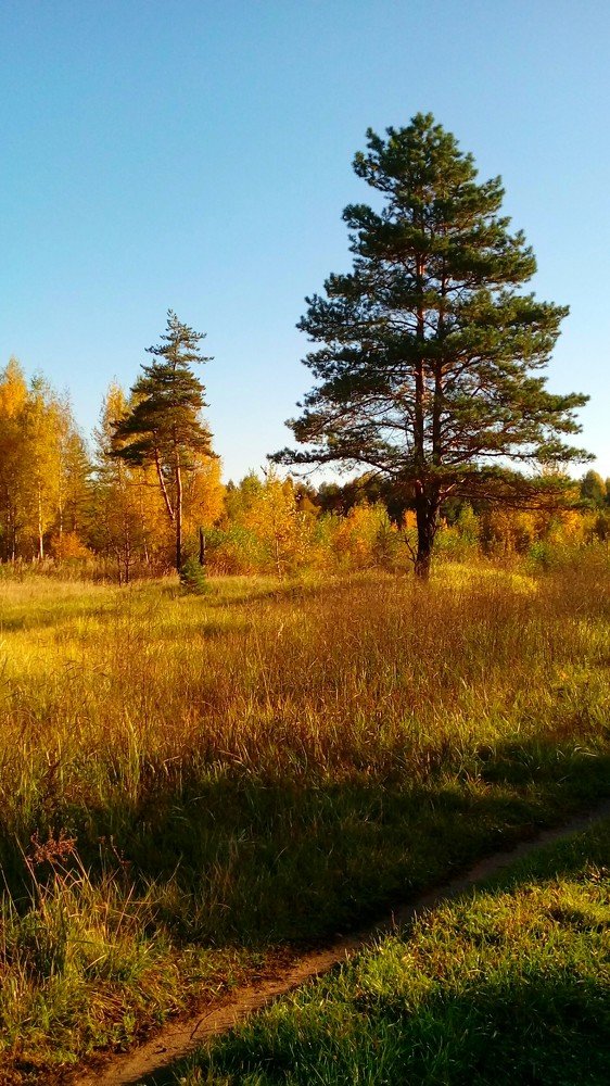 Photograph by Дмитрий Михайлов