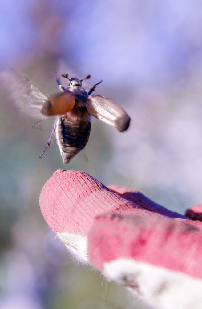 Photograph by Юлия Яшина