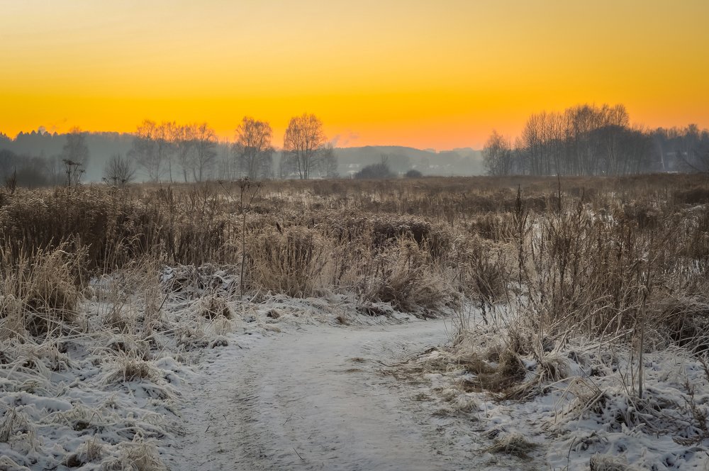 Photograph by Василий Фроленок