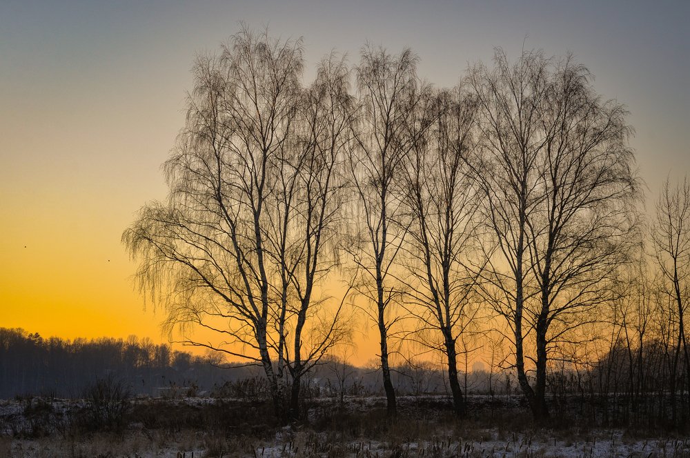 Photograph by Василий Фроленок