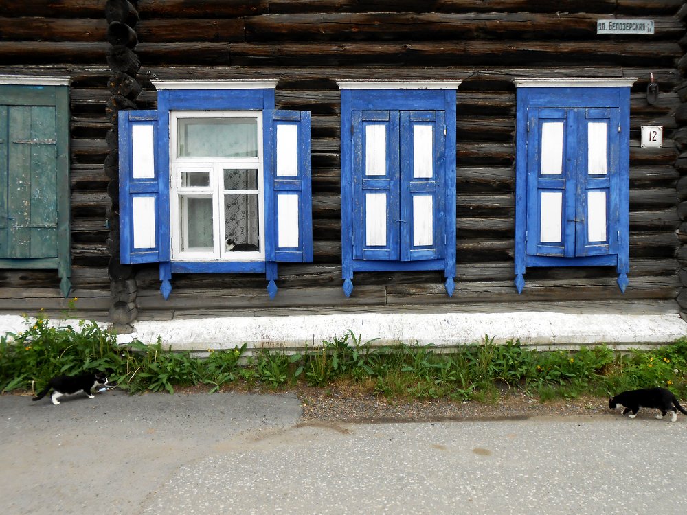 Photograph by Анастасия Хованская