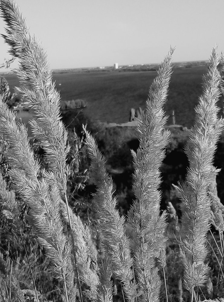 Photograph by Наталия Глущенко