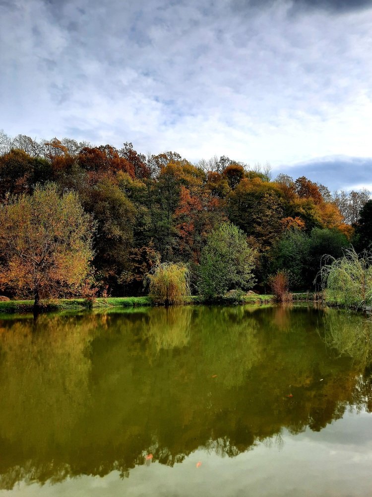 Photograph by Дмитрий Черкашин