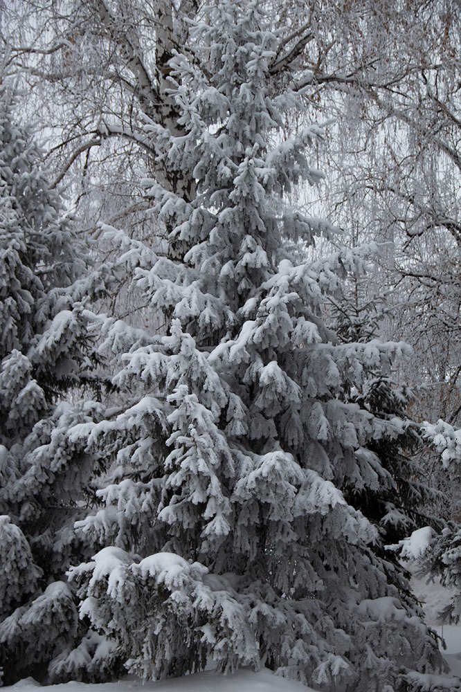 Photograph by Elena Khalizova