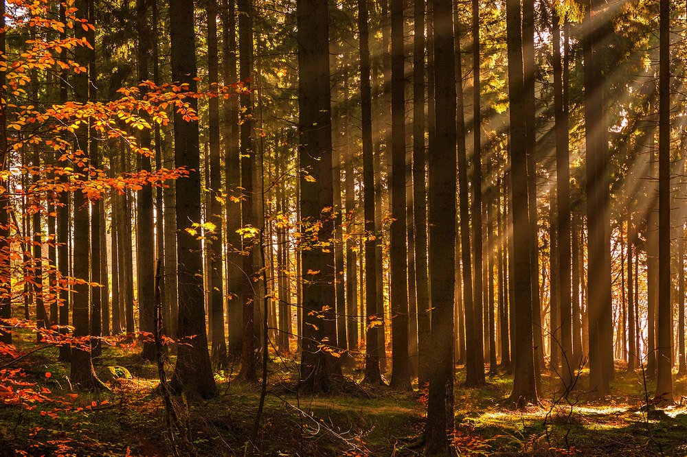 Photograph by Виктория Солодар