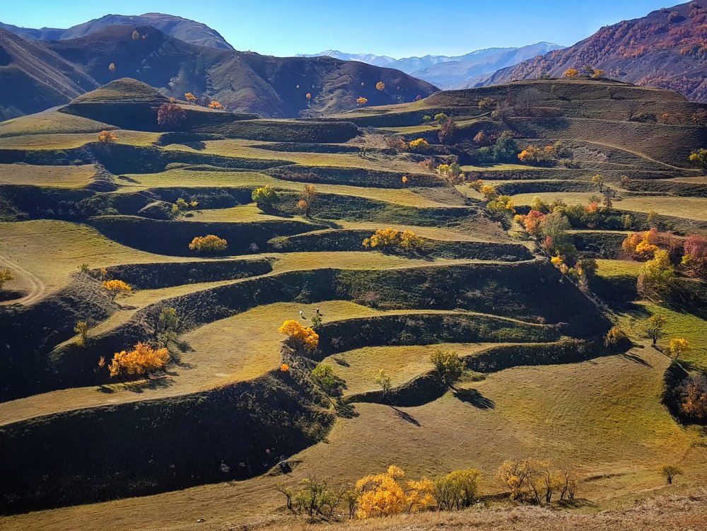 Photograph by Анастасия Петухова