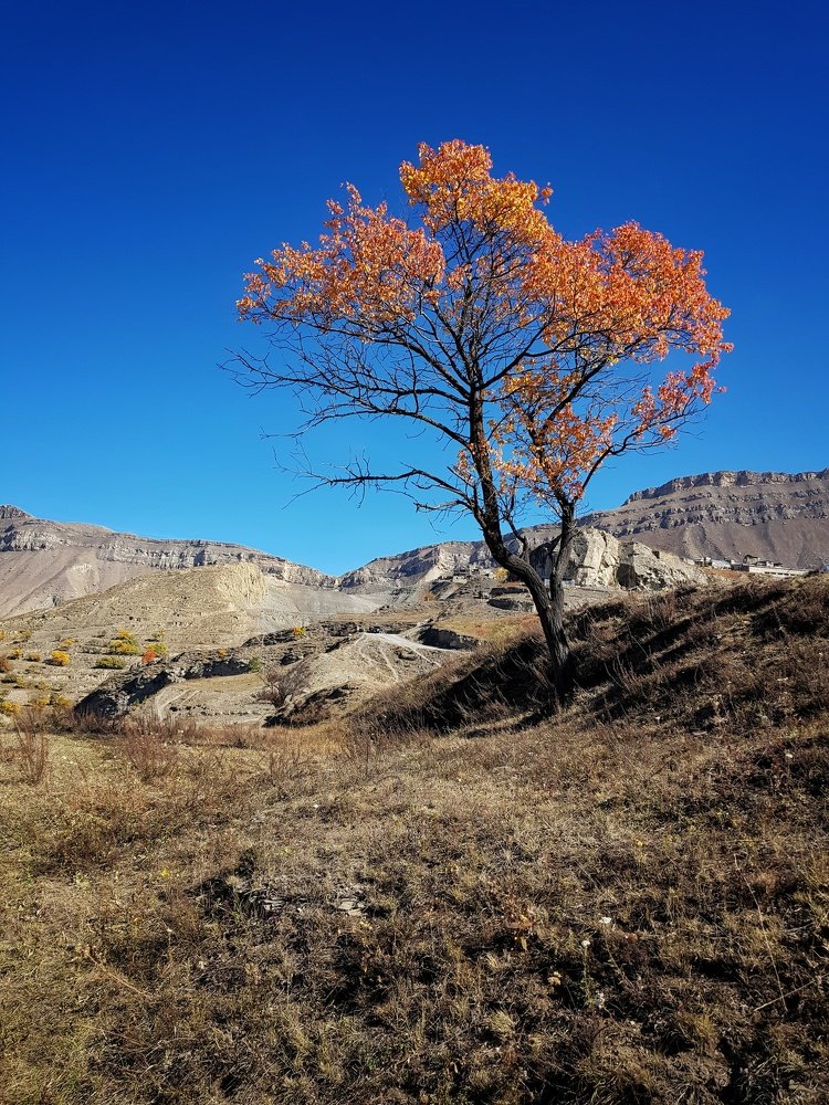 Photograph by Анастасия Петухова