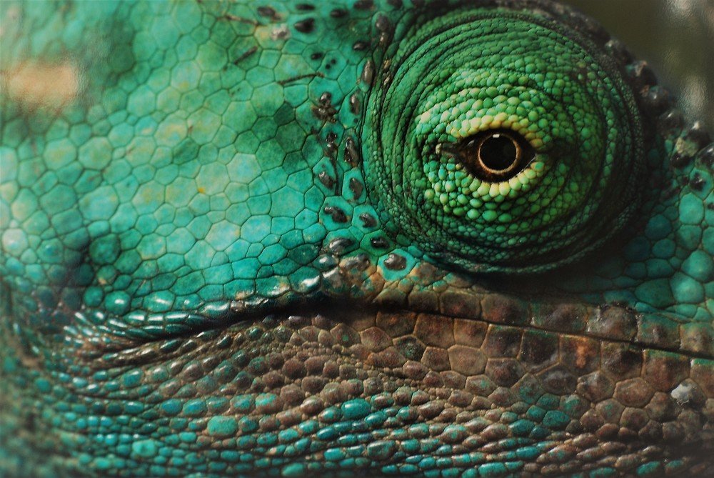 Photograph by Сергей Лобозов