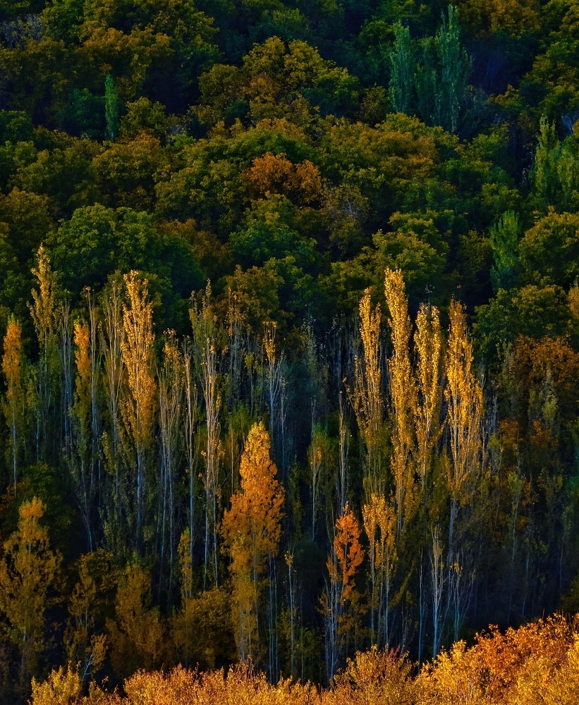 Photograph by Bahrami Ashkan