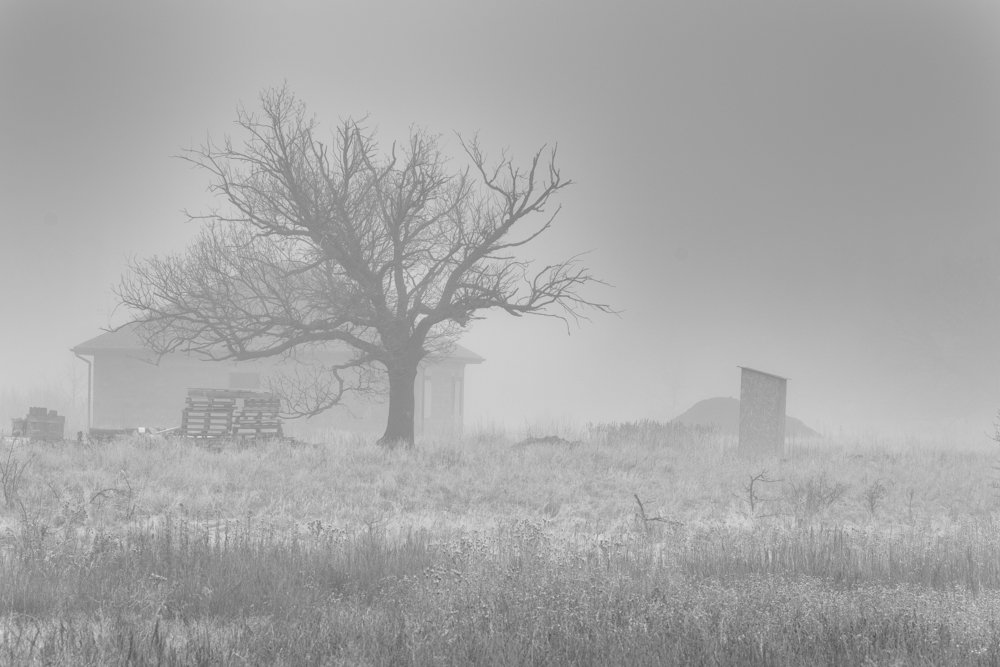 Фотография автора Игорь Баранов
