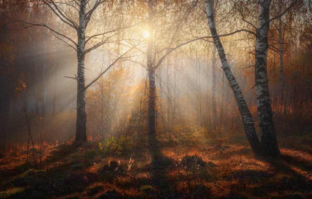 Солнечное утро