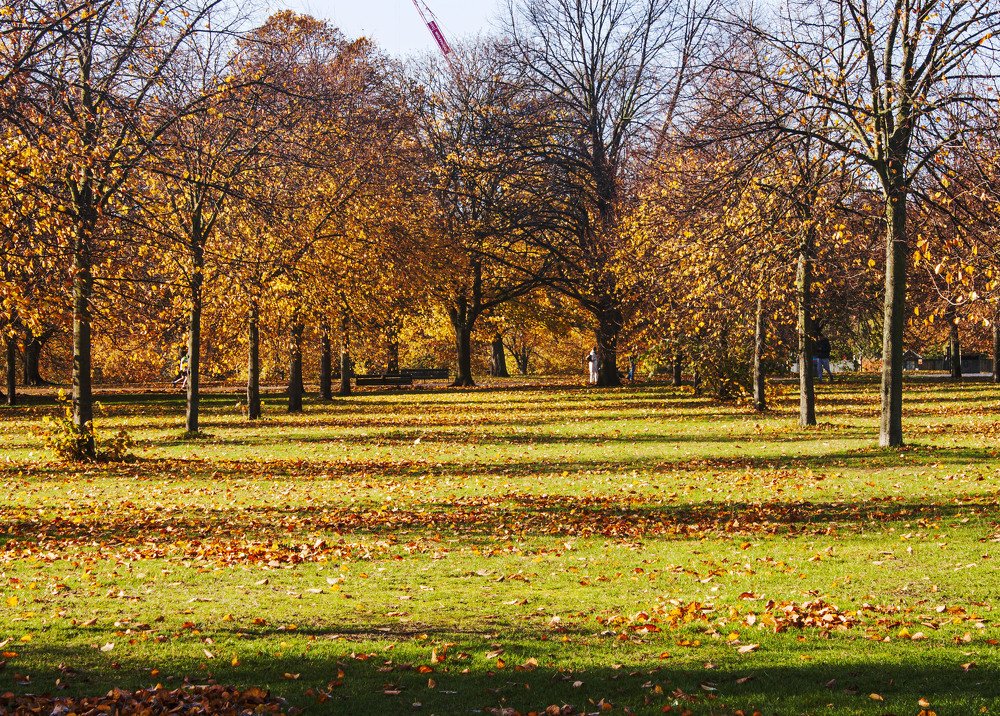 Photograph by Диляра Шарифзаде