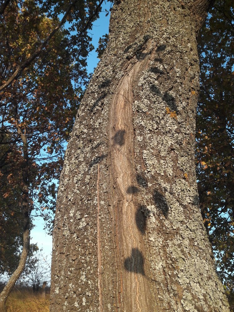 Photograph by Виктория Подрезова