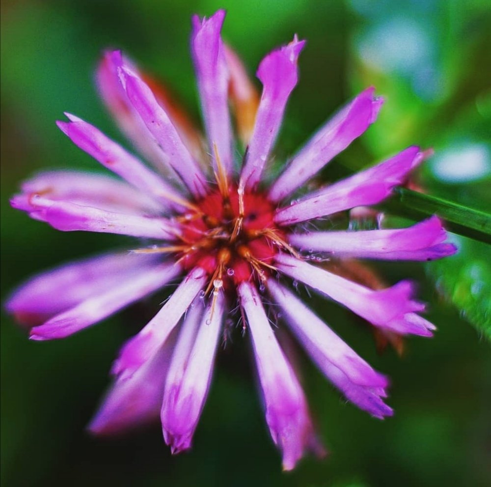 Photograph by Олег Брянцев