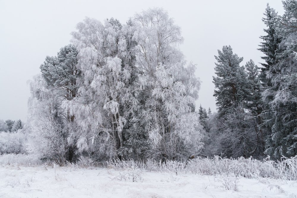 Снежная сказка.