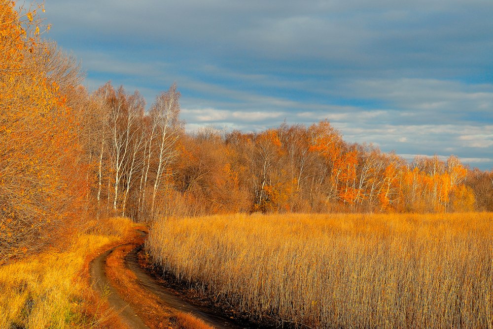 Photograph by Дмитрий Руденко