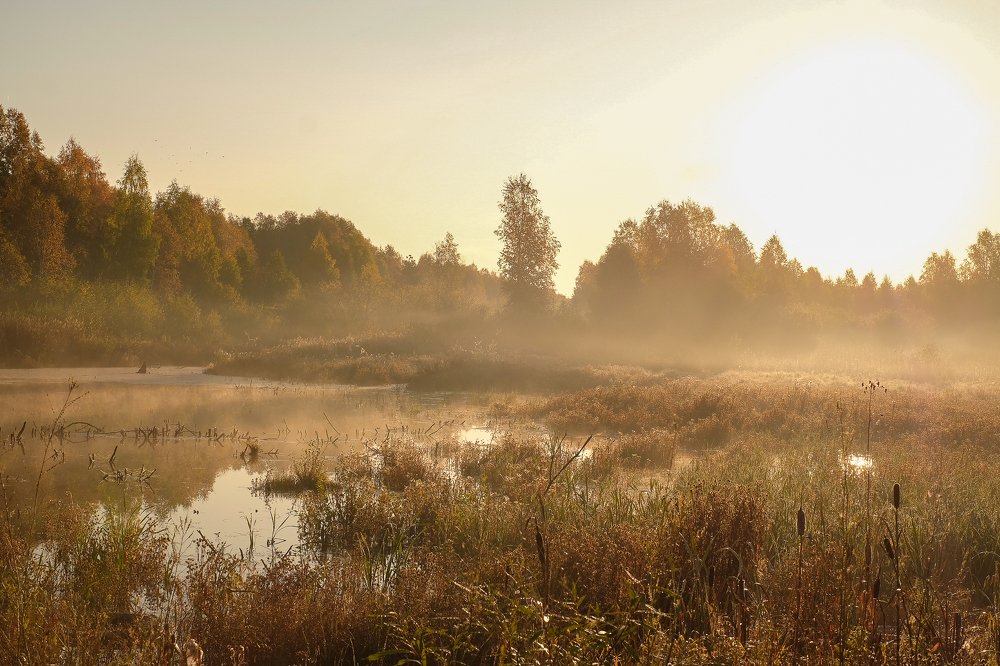 Photograph by Галина Уланова