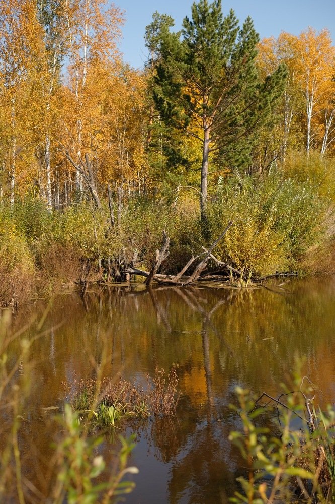 Photograph by Галина Уланова