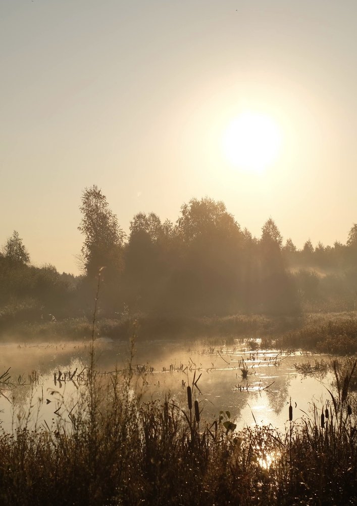 Photograph by Галина Уланова