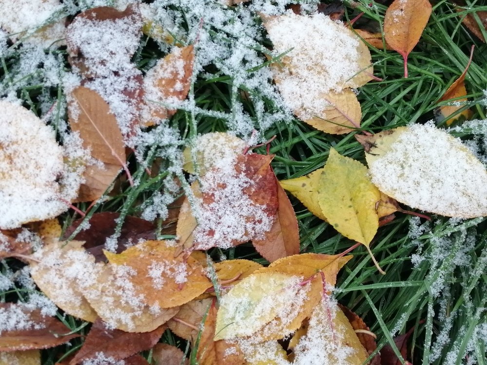 Photograph by Анжелика Короткова