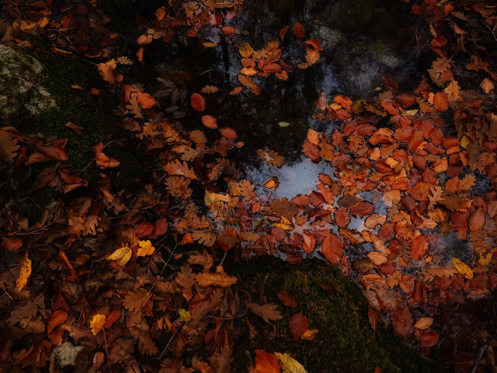 Photograph by Александра