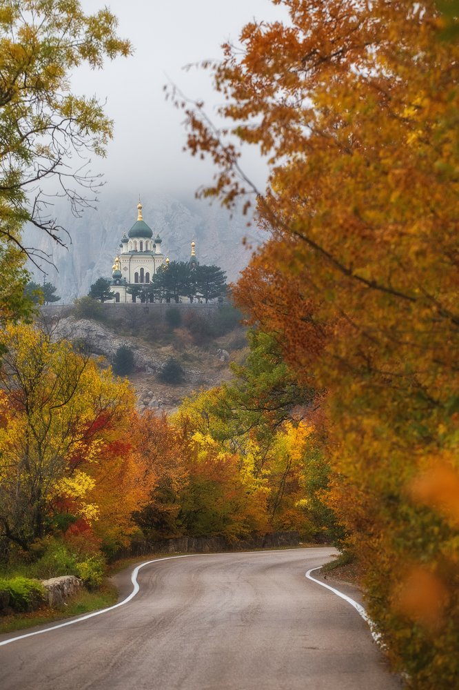 Фотография автора Екатерина Дмитренко
