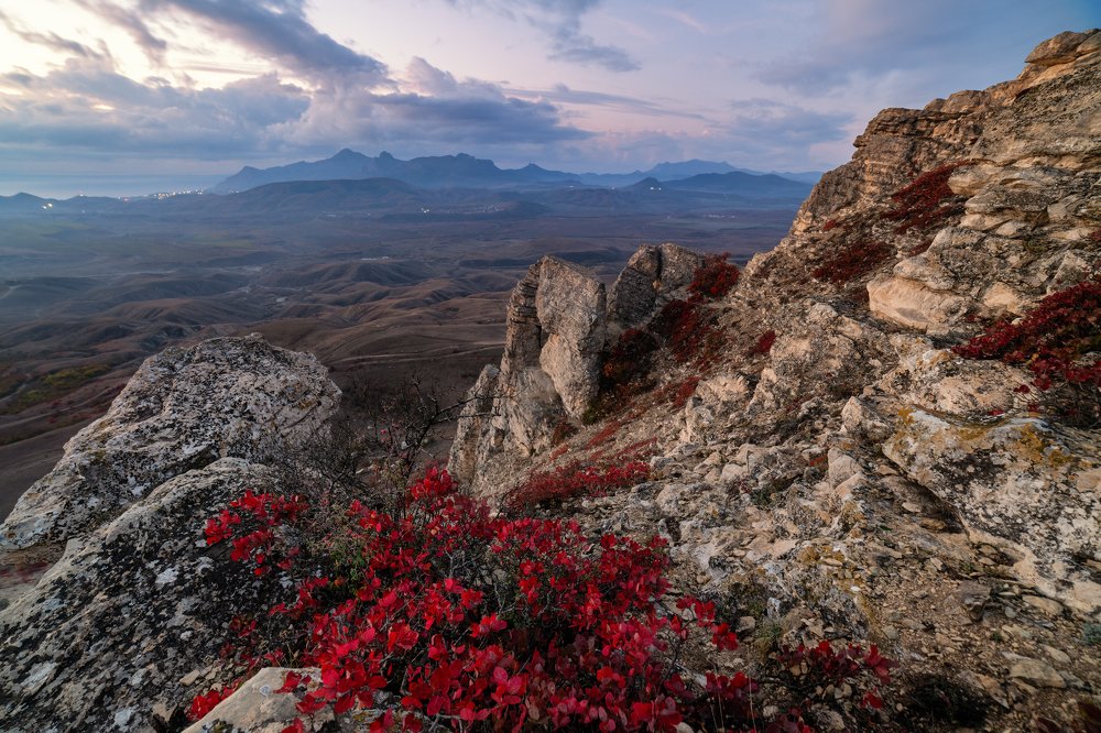 Photograph by Юлия Шумляева