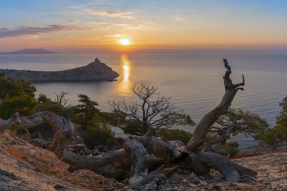 Photograph by Юлия Шумляева