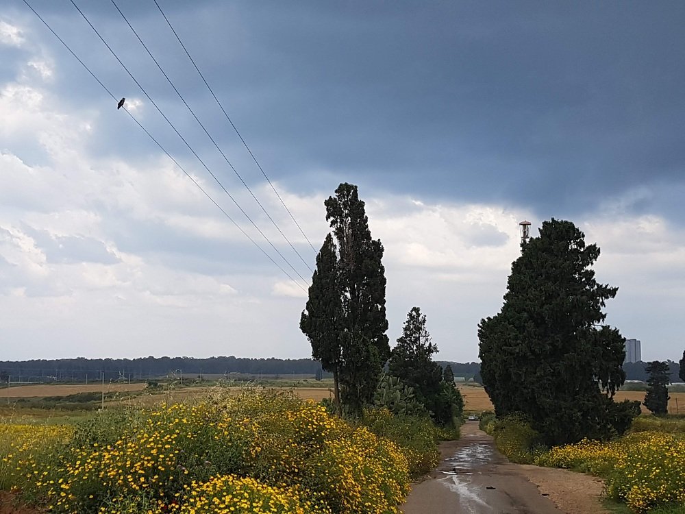 Фотография автора Alex Muchnik