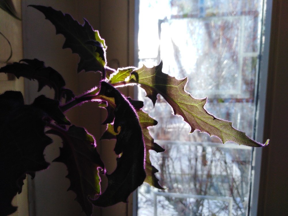 Photograph by Татьяна Ситникова