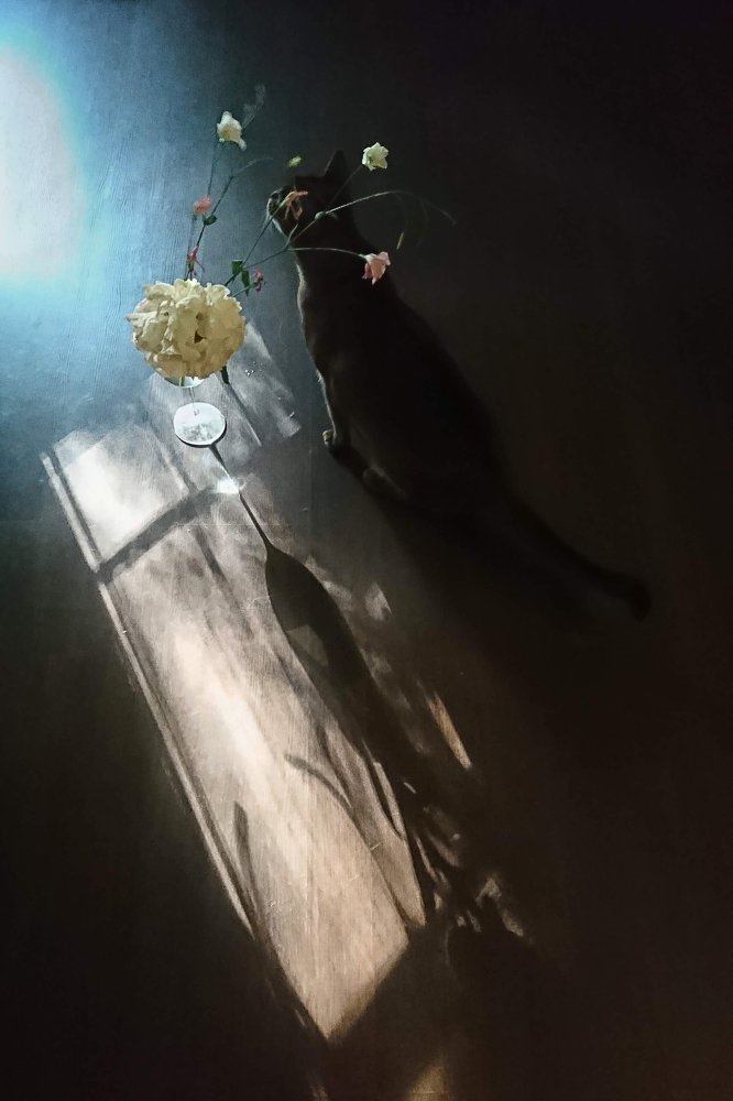 Photograph by Анна Петина