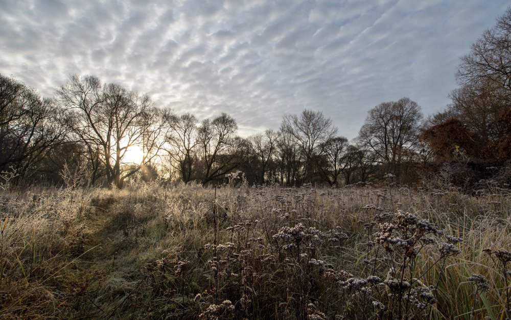 Photograph by Дмитрий Бельмаз