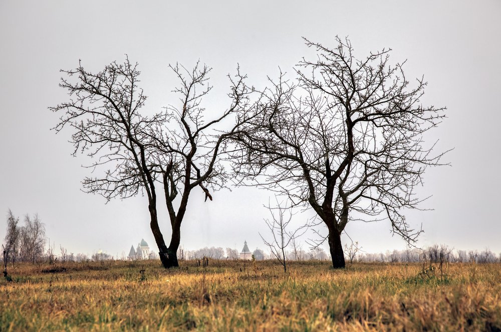 Фотография автора Oleg Podlesnykh