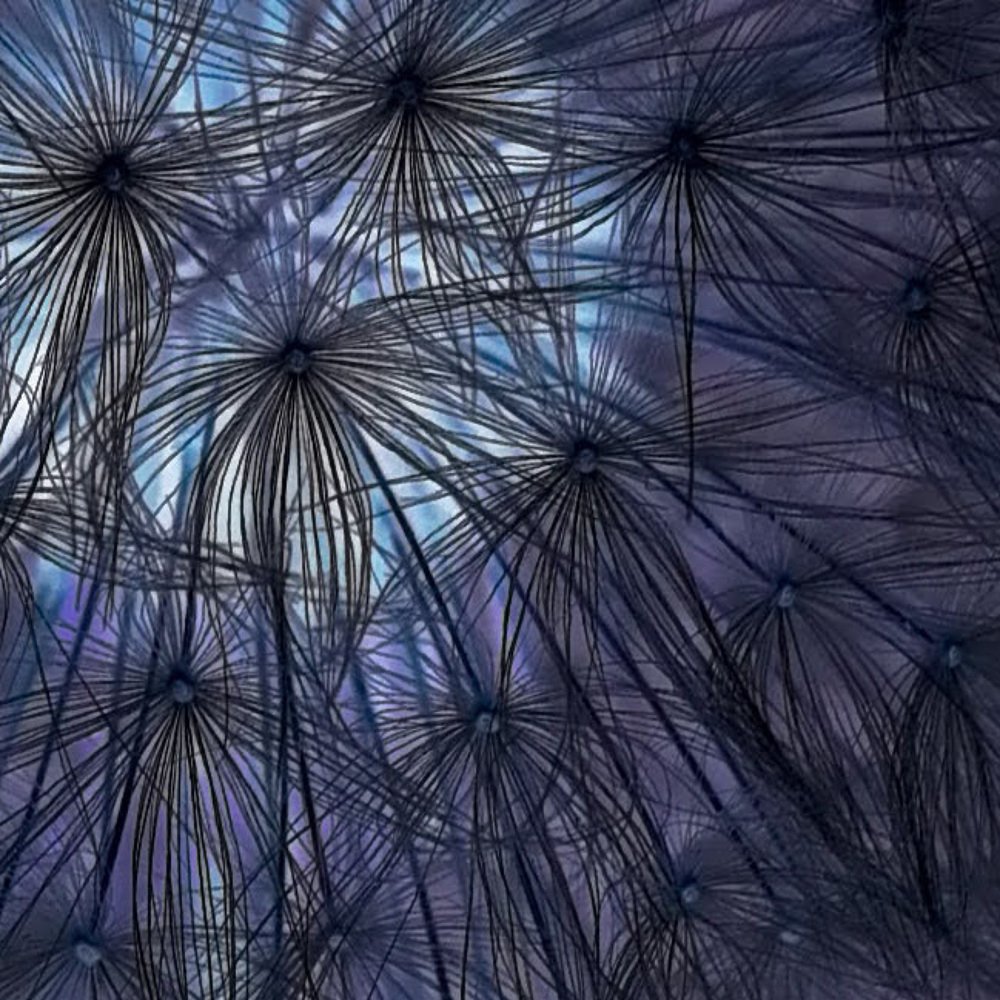 Photograph by Юлия Чванова