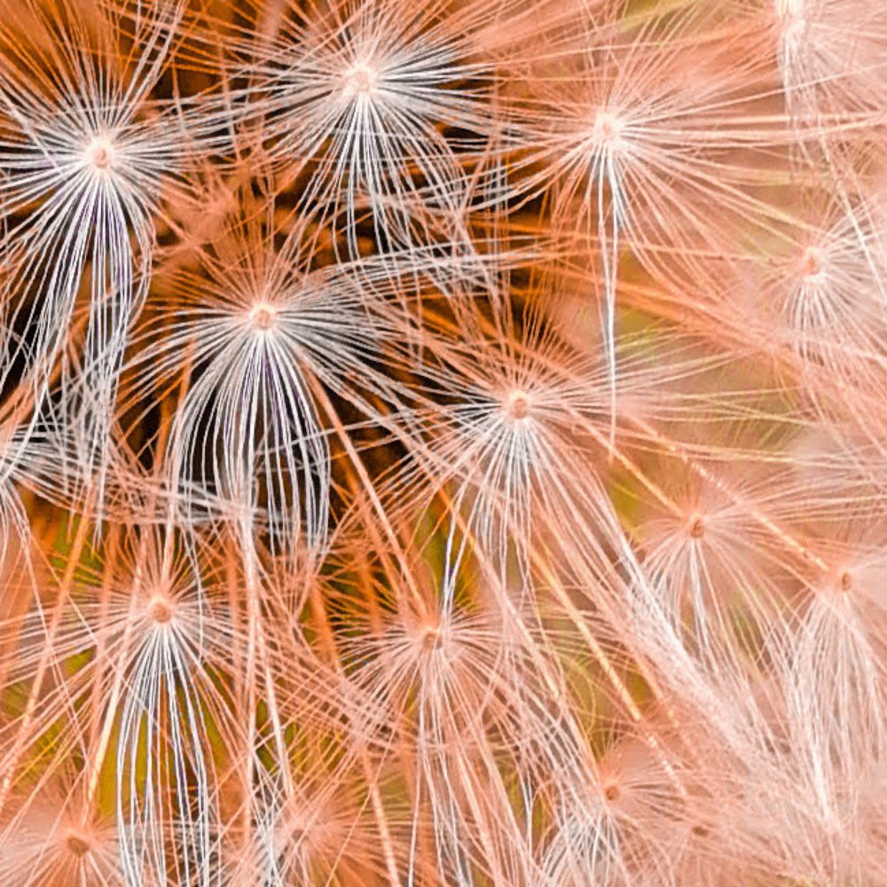 Photograph by Юлия Чванова