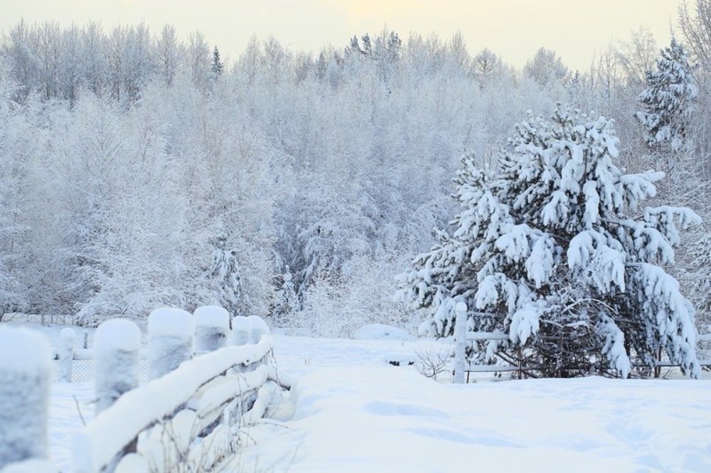 Фотография автора Владимир Мухаметзянов