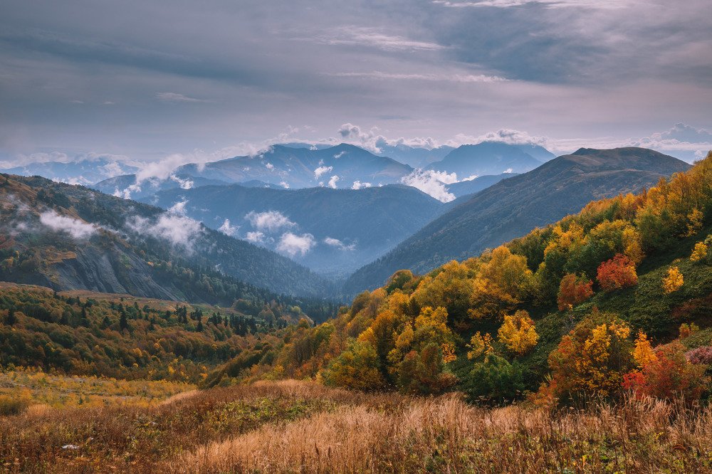 Photograph by Константин Шишкалов