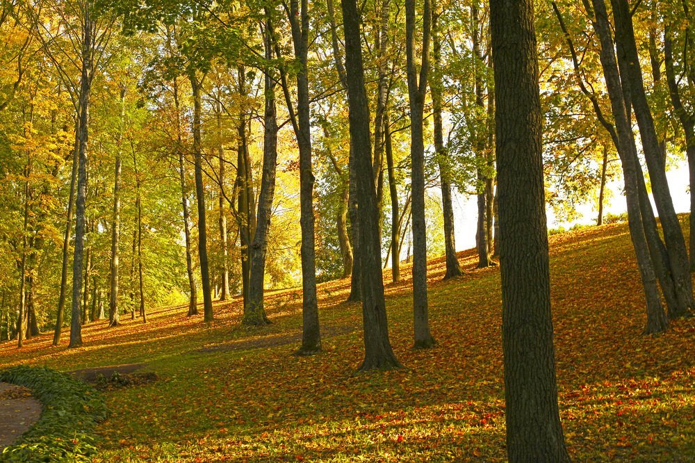 Photograph by Галина