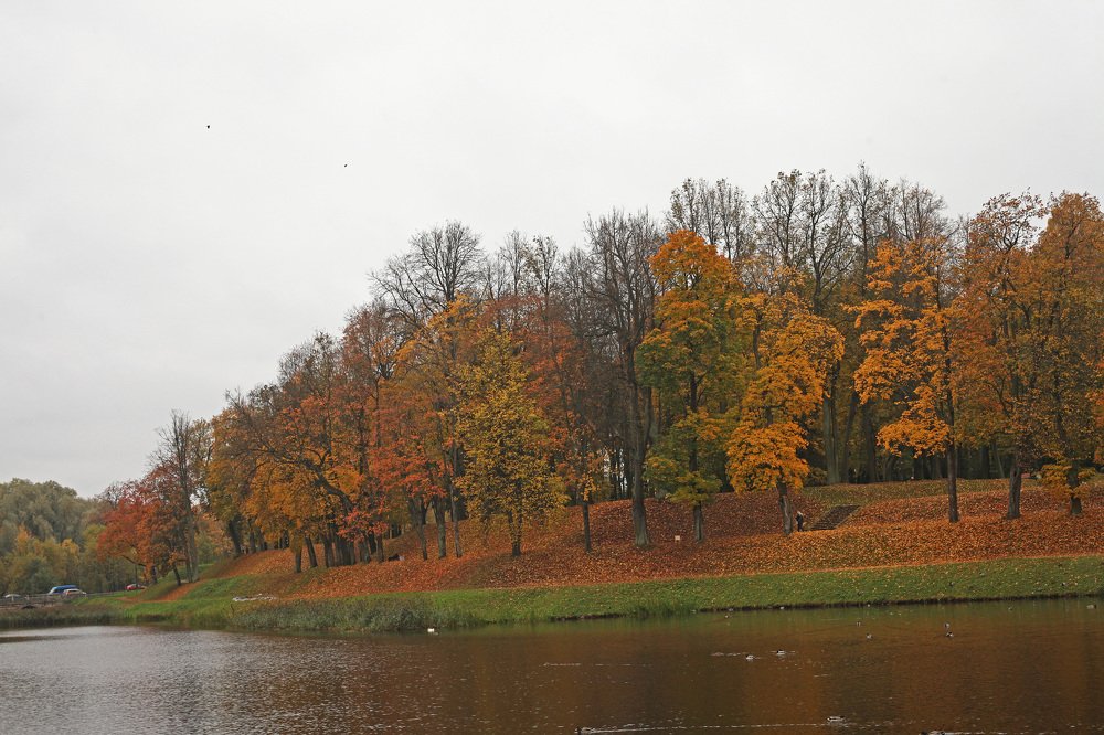 Photograph by Галина