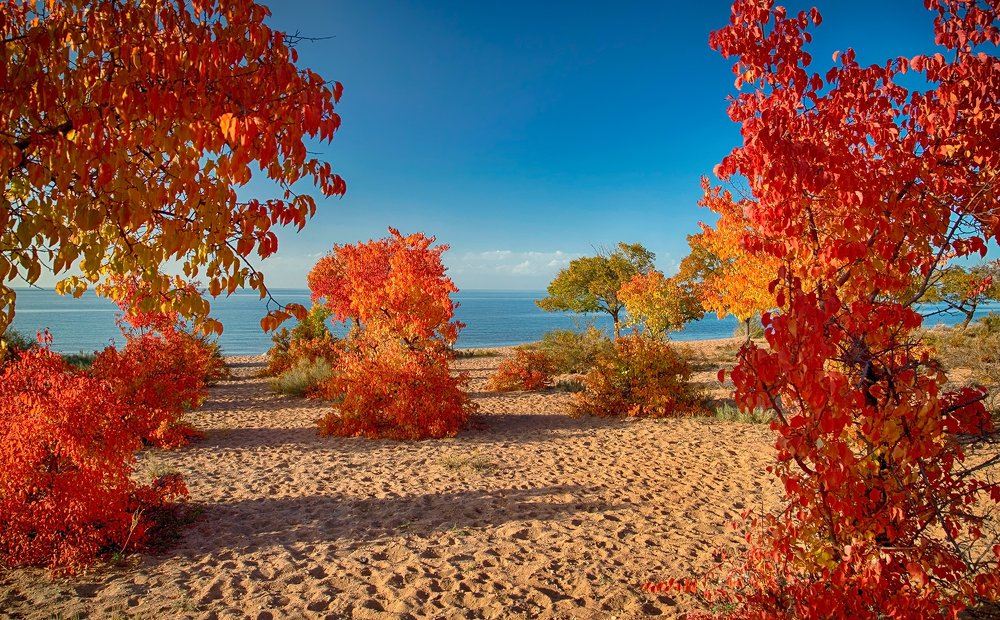 Пожар Иссык-Куля