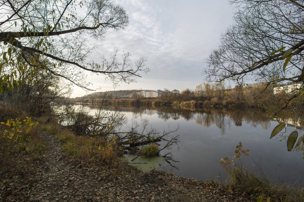 Photograph by Дмитрий Бельмаз