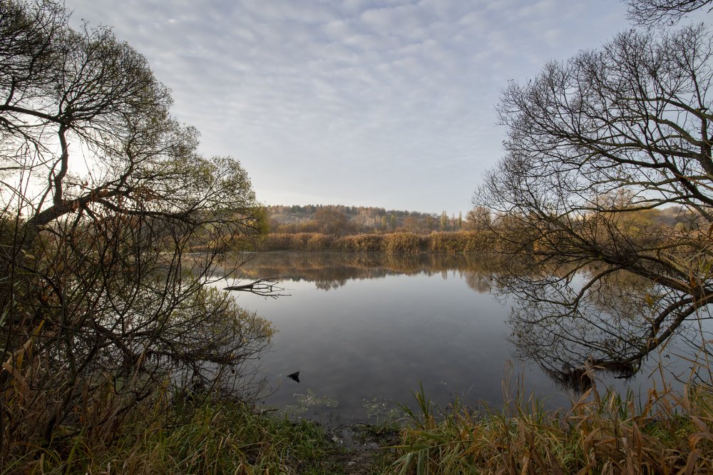 Photograph by Дмитрий Бельмаз