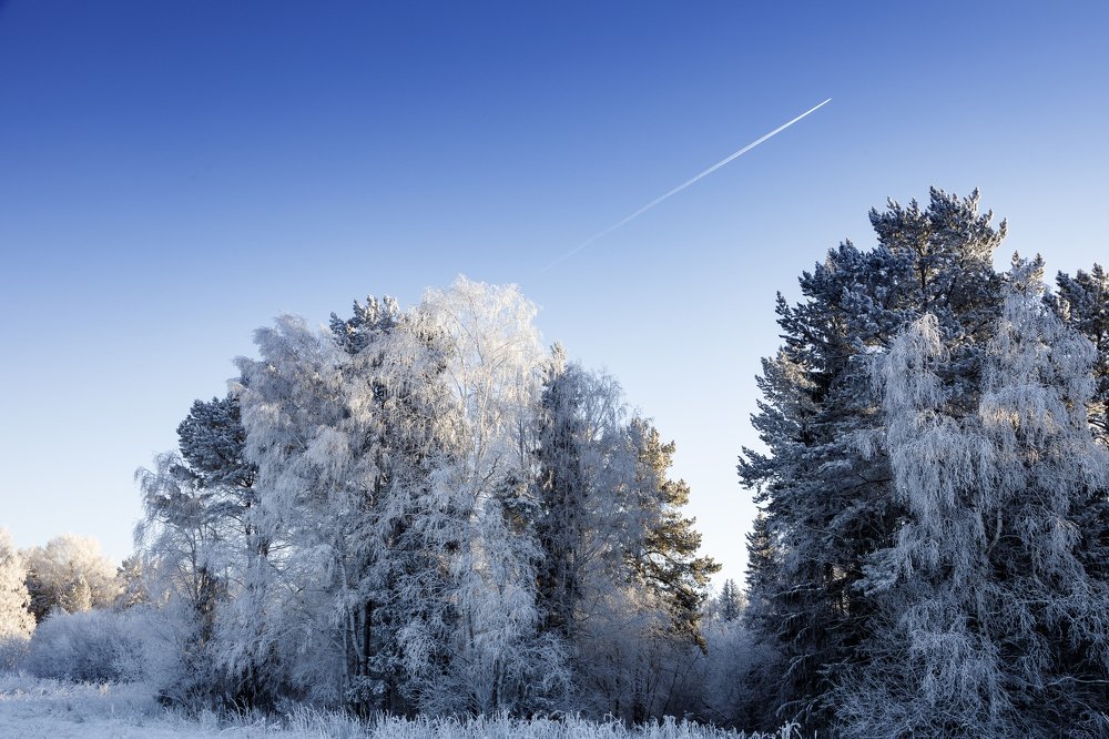 Прогулка морозным днём.