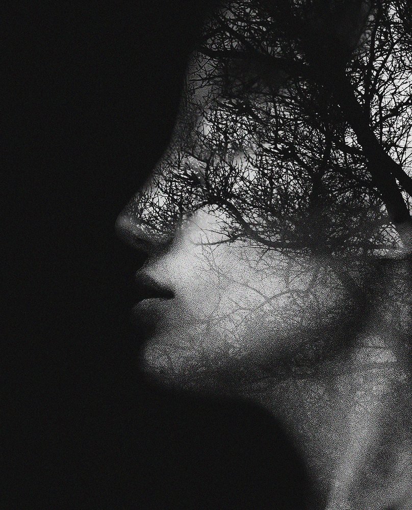 Photograph by Даркина Дарья